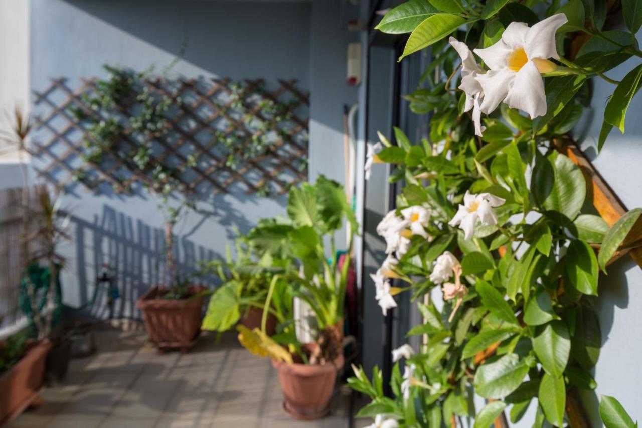 Spacious Modern Apartments With Great Rooftop View アテネ エクステリア 写真